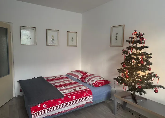 Slunny Byt V Jizerskych Horach 5 Posteli