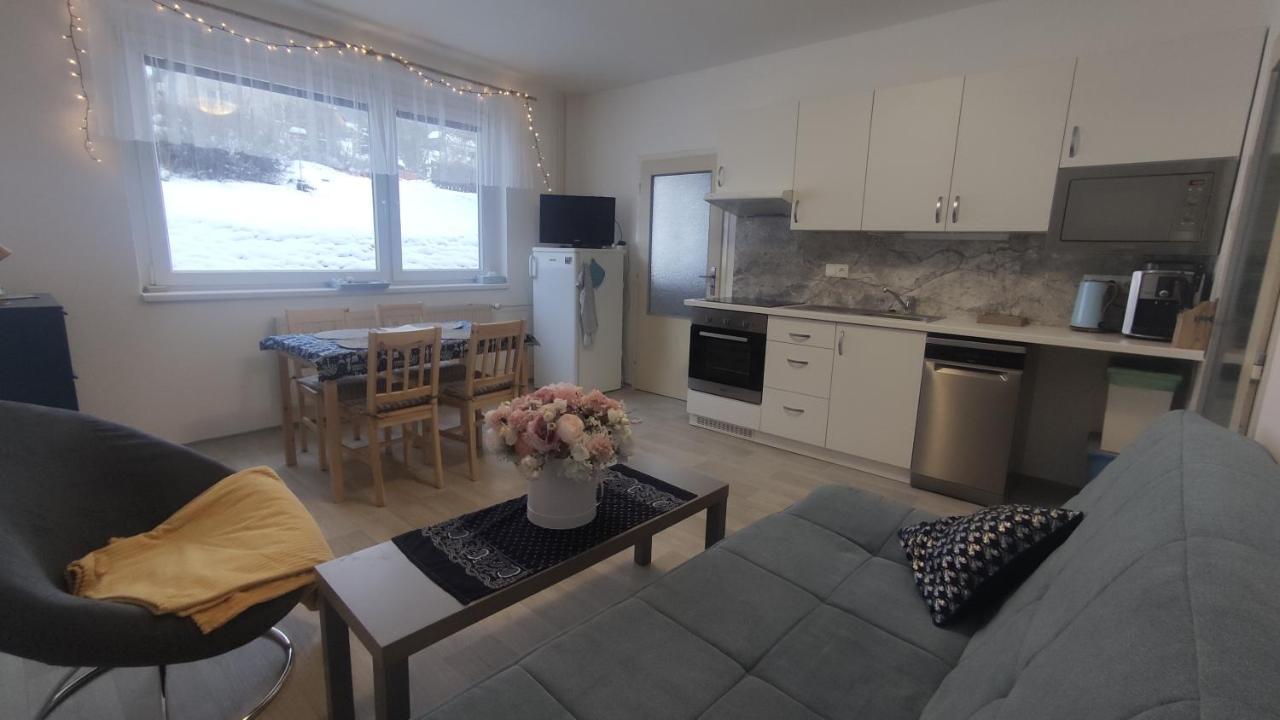 Apartment Slunny V Jizerskych Horach 5 Posteli *