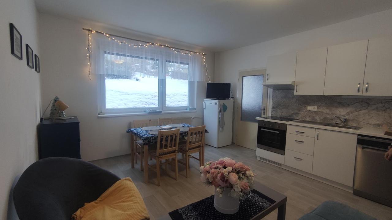 Apartment Slunny V Jizerskych Horach 5 Posteli Tanvald