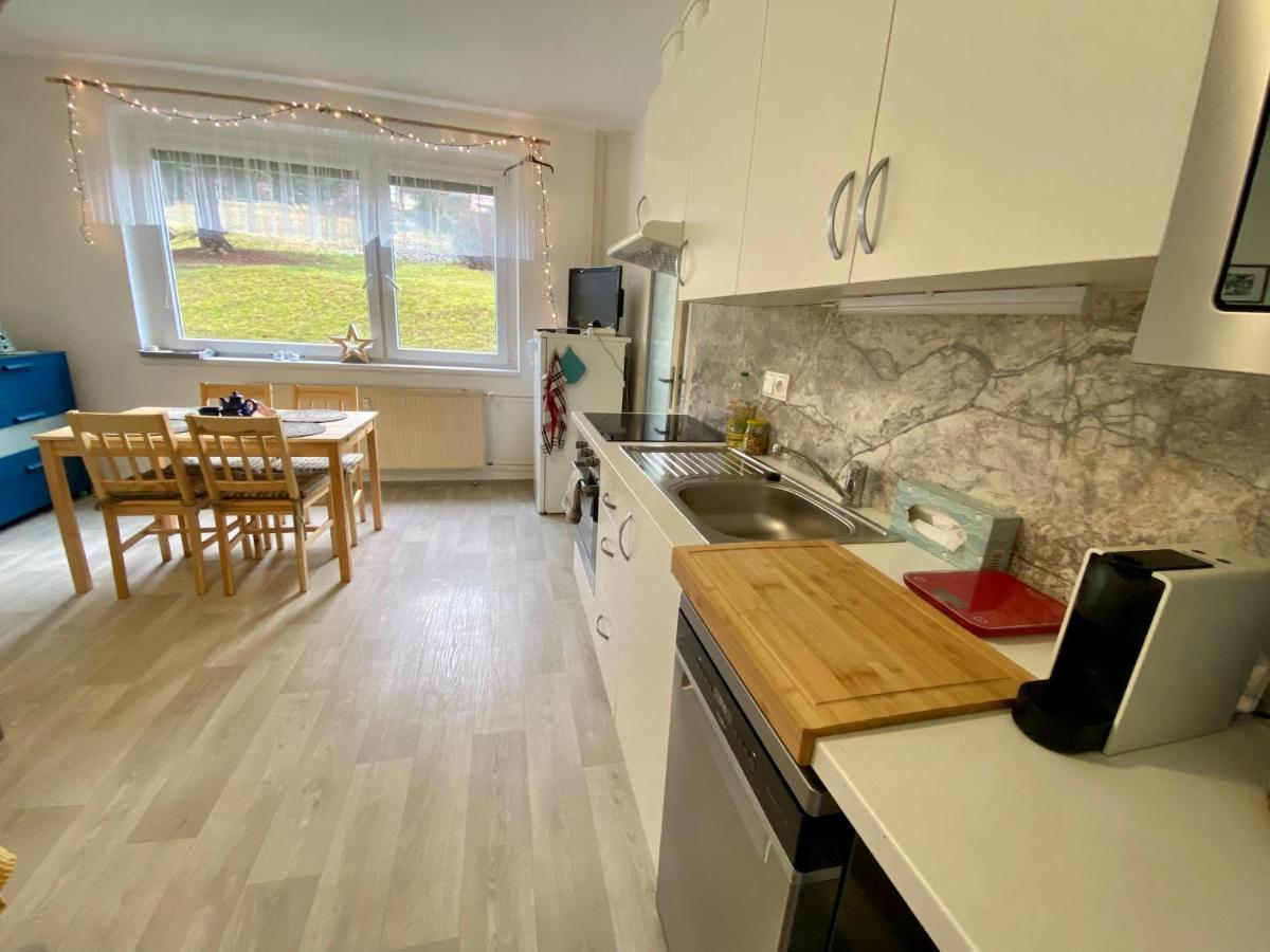 Slunny V Jizerskych Horach 5 Posteli Apartment