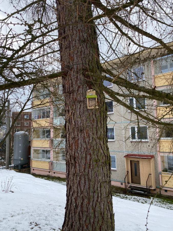 Apartment Slunny V Jizerskych Horach 5 Posteli *