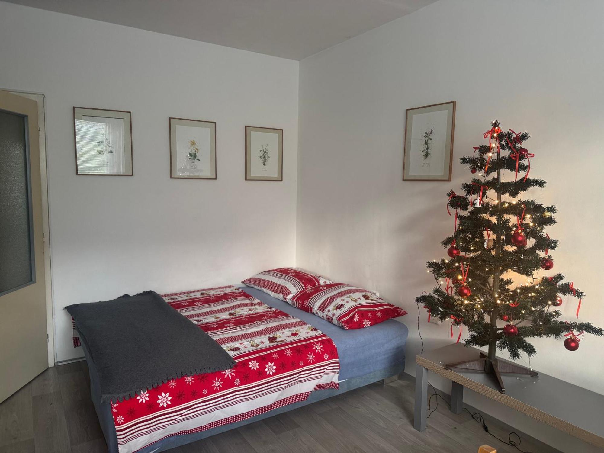Slunny V Jizerskych Horach 5 Posteli Apartment